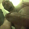 Avatar Avatar