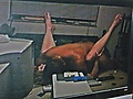 Filename=Picture_012~0.jpg
Filesize=4118KB
Dimensions=2816x2112
Date added=Dec 13, 2010 Picture_012~0.jpg
