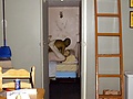 Filename=cabin_fun.jpg
Filesize=50KB
Dimensions=600x500
Date added=Dec 30, 2007 cabin_fun.jpg