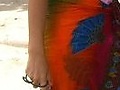 a  shy  me 