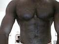 Filename=Picture_2.jpg
Filesize=10KB
Dimensions=320x240
Date added=Jan 21, 2011 Picture_2.jpg