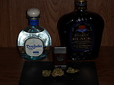 SAM_0046.JPG