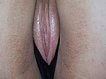 100_0178.JPG