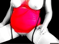 Filename=styletkissa.jpg
Filesize=15KB
Dimensions=448x336
Date added=Mar 07, 2011 styletkissa.jpg