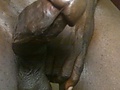 IMAG0826.jpg