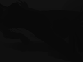 Snapshot_028.png