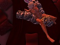 Snapshot_259.jpg
