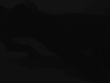 Snapshot_027.png