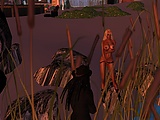 Snapshot_113.jpg