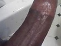 Filename=me2.jpg
Filesize=31KB
Dimensions=393x525
Date added=Mar 21, 2011 me2.jpg