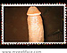 foreverfriend64's avatar