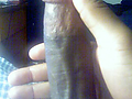 Filename=dic.jpg
Filesize=900KB
Dimensions=480x640
Date added=Mar 19, 2008 dic.jpg