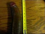 0493244983.jpg