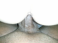 Filename=095~0.jpg
Filesize=1375KB
Dimensions=2560x1920
Date added=Nov 03, 2011 095~0.jpg