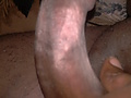 Filename=638~0.jpg
Filesize=952KB
Dimensions=1920x2560
Date added=Jan 02, 2012 638~0.jpg
