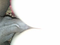 Filename=817.jpg
Filesize=902KB
Dimensions=1920x2560
Date added=Dec 01, 2011 817.jpg