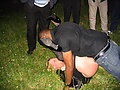 Filename=CAPE_D_ADGE.jpg
Filesize=417KB
Dimensions=2024x1518
Date added=May 25, 2009 CAPE_D_ADGE.jpg