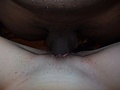 Filename=IMPREGNATED.jpg
Filesize=174KB
Dimensions=600x450
Date added=Dec 28, 2009 IMPREGNATED.jpg