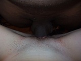 IMPREGNATED.jpg