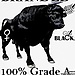 OrlandoBlackBull avatar