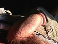 Filename=Picture2.jpg
Filesize=40KB
Dimensions=742x518
Date added=Feb 10, 2012 Picture2.jpg