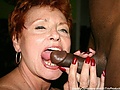Filename=redhead10.jpg
Filesize=45KB
Dimensions=700x466
Date added=Feb 24, 2009 redhead10.jpg