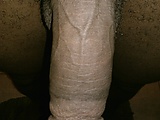 IMG222.jpg