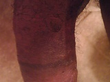IMAG1016.jpg