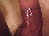 IMAG1017.jpg