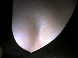 111114-183317.jpg