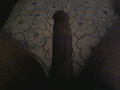 Filename=Straight_up.jpg
Filesize=633KB
Dimensions=1280x960
Date added=Oct 11, 2011 Straight_up.jpg