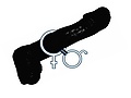 BBC_pics_for_tattoo3.jpg