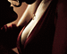 black widow's avatar
