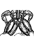 Filename=8yy.gif
Filesize=24KB
Dimensions=360x480
Date added=May 15, 2010 8yy.gif