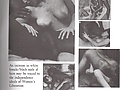 Picture_004.jpg