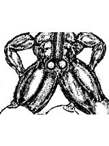 8yy.gif