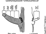Z545301p63_L.jpg