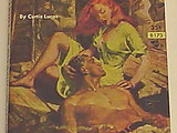 vi296.jpg