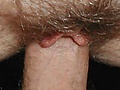 Filename=8.jpg
Filesize=37KB
Dimensions=386x600
Date added=May 15, 2008 8.jpg