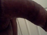 120311144229.jpg