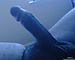 JohnHerry11's avatar
