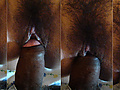 Filename=cockA.jpg
Filesize=1671KB
Dimensions=2160x941
Date added=Dec 29, 2011 cockA.jpg