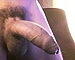javirabo's avatar