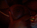 HNI_0033_JPG.JPG
