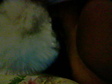 HNI_0038_JPG~0.JPG