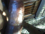 new_pics_to_work_wit_022.jpg