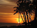 Filename=puntacana10.jpg
Filesize=94KB
Dimensions=640x480
Date added=Feb 13, 2012 puntacana10.jpg