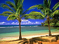 Filename=puntacana11.jpg
Filesize=308KB
Dimensions=1280x960
Date added=Feb 13, 2012 puntacana11.jpg