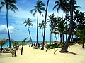 Filename=puntacana13.jpg
Filesize=138KB
Dimensions=800x533
Date added=Feb 13, 2012 puntacana13.jpg