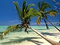 Filename=puntacana3.jpg
Filesize=740KB
Dimensions=1920x1280
Date added=Feb 13, 2012 puntacana3.jpg
